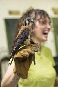 Tour of American Eagle Foundation Headquarters Pigeon Forge Tennessee Great Smoky Mountains National Park