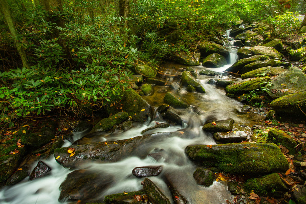 Roaring Fork River in Smoky Mountains National Park
