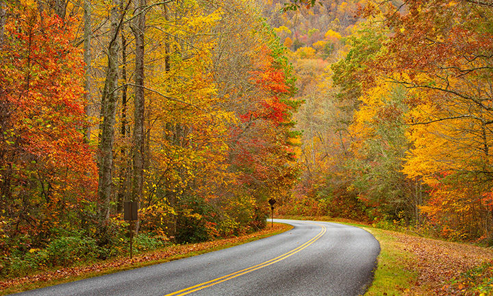 Blue Ridge Parkway in Autumn near Smoky Mountains