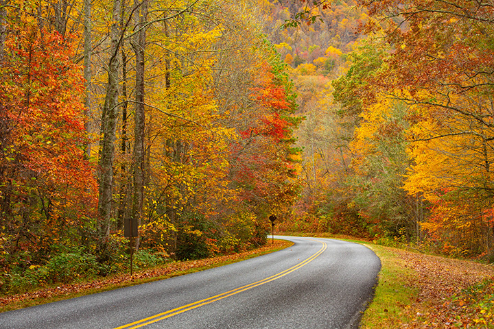Blue Ridge Parkway in Autumn North Carolina