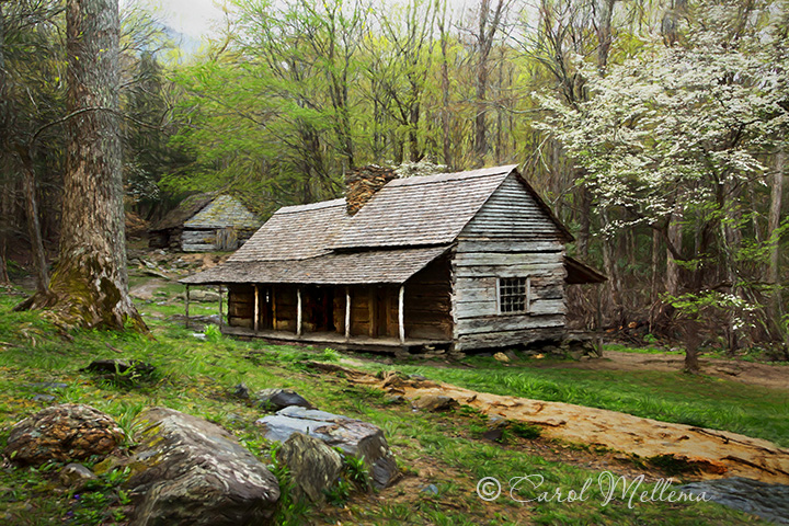 Ogle Cabin in Great Smoky Mountains National Park