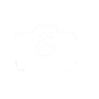 Carol Mellema Photography